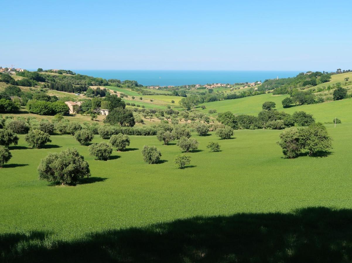 Terra Da Mare Leilighet Potenza Picena Eksteriør bilde